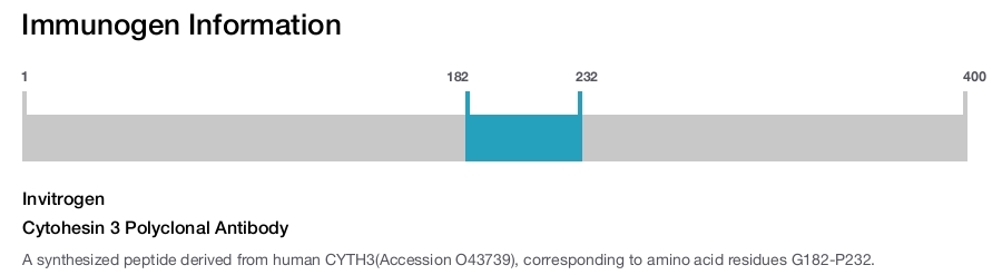 Cytohesin 3 Polyclonal Antibody