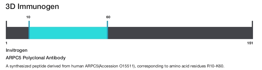 ARPC5 Polyclonal Antibody
