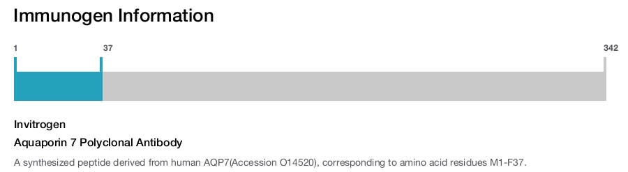 Aquaporin 7 Polyclonal Antibody