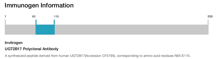 UGT2B17 Polyclonal Antibody