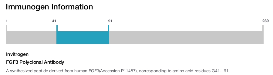 FGF3 Polyclonal Antibody