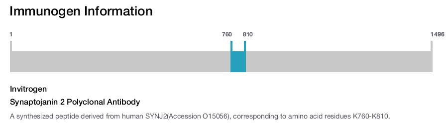 Synaptojanin 2 Polyclonal Antibody