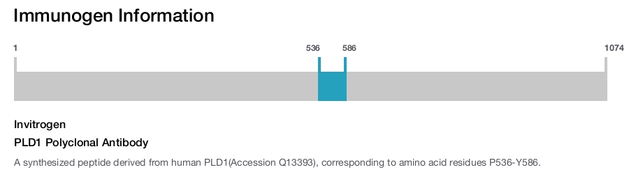 PLD1 Polyclonal Antibody