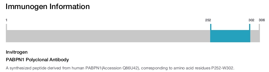 PABPN1 Polyclonal Antibody