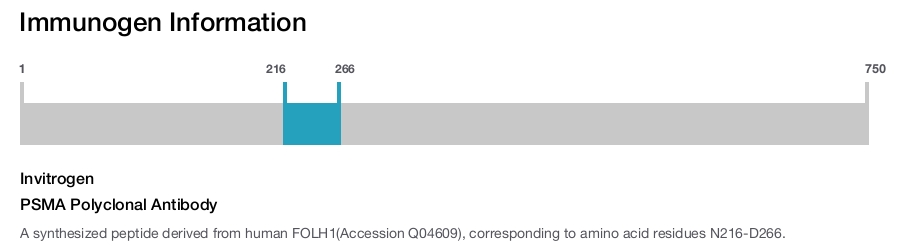 PSMA Polyclonal Antibody