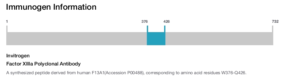 Factor XIIIa Polyclonal Antibody