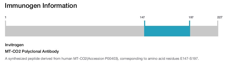 MT-CO2 Polyclonal Antibody