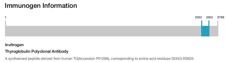 Thyroglobulin Polyclonal Antibody