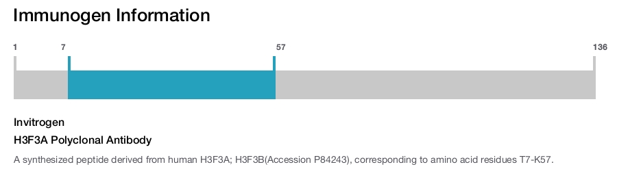 H3F3A Polyclonal Antibody