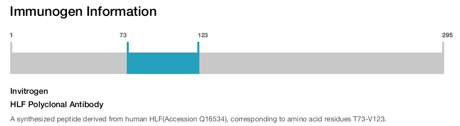 HLF Polyclonal Antibody