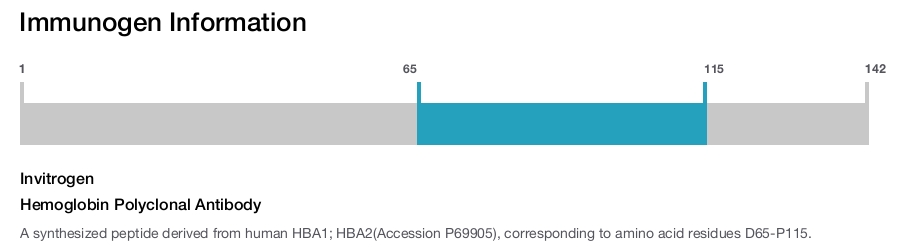 Hemoglobin Polyclonal Antibody