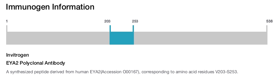 EYA2 Polyclonal Antibody