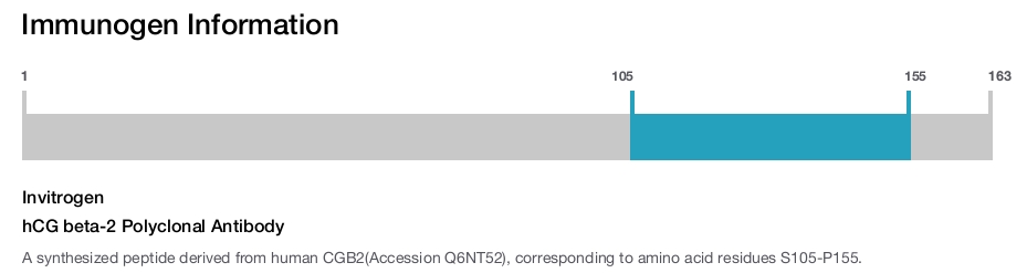 hCG beta-2 Polyclonal Antibody