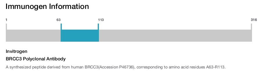 BRCC3 Polyclonal Antibody