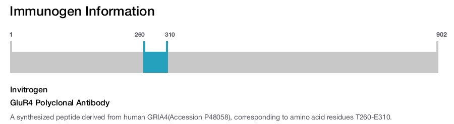 GluR4 Polyclonal Antibody