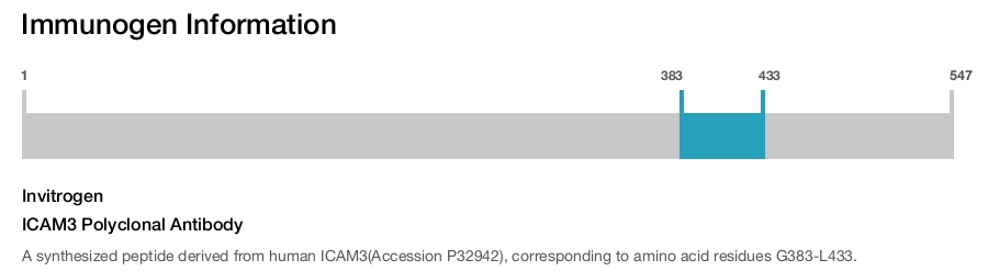 ICAM3 Polyclonal Antibody