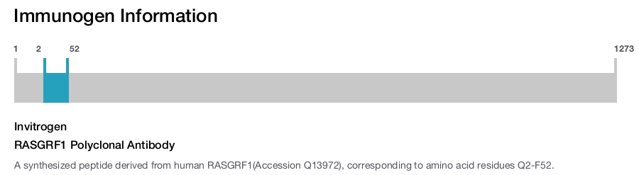RASGRF1 Polyclonal Antibody