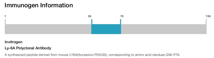 Ly-6A Polyclonal Antibody