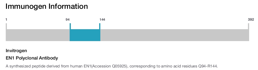 EN1 Polyclonal Antibody
