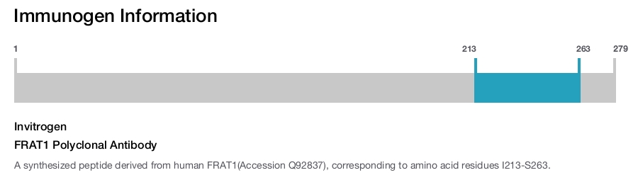 FRAT1 Polyclonal Antibody