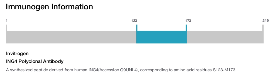 ING4 Polyclonal Antibody