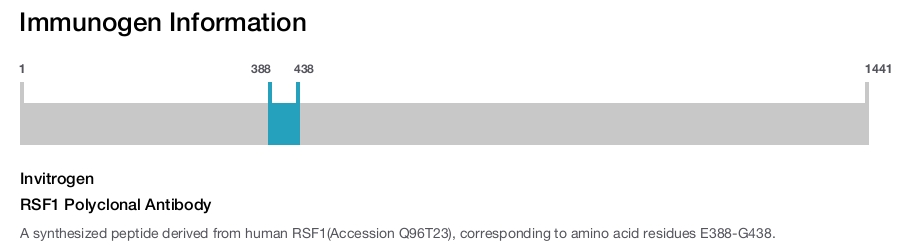 RSF1 Polyclonal Antibody