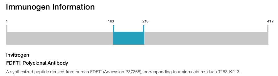 FDFT1 Polyclonal Antibody