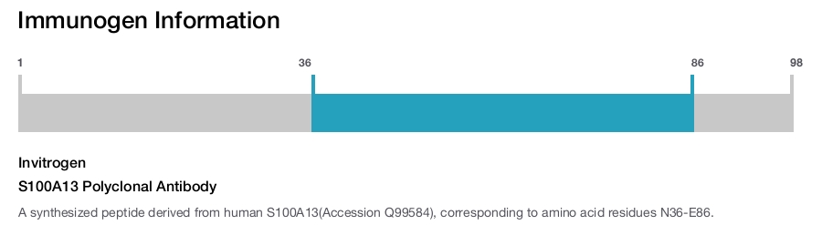 S100A13 Polyclonal Antibody