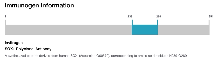 SOX1 Polyclonal Antibody