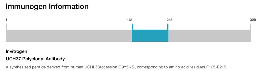 UCH37 Polyclonal Antibody