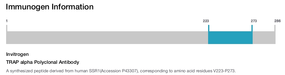 TRAP alpha Polyclonal Antibody