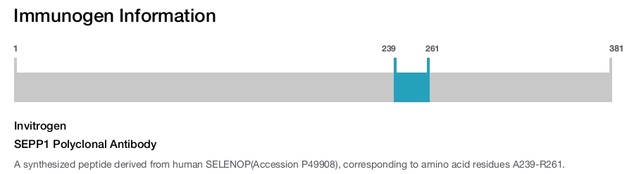 SEPP1 Polyclonal Antibody