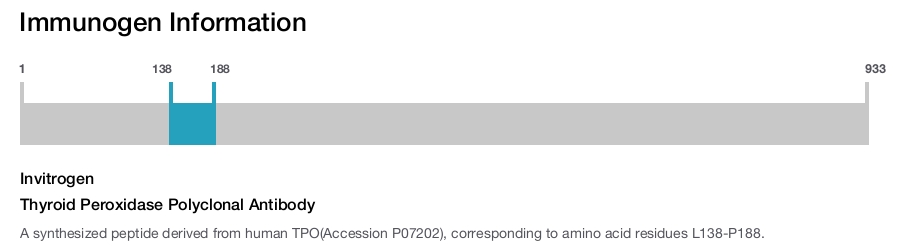 Thyroid Peroxidase Polyclonal Antibody