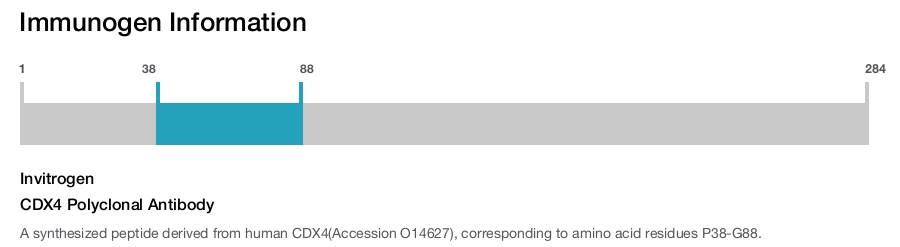 CDX4 Polyclonal Antibody