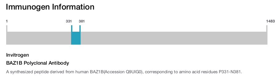 BAZ1B Polyclonal Antibody