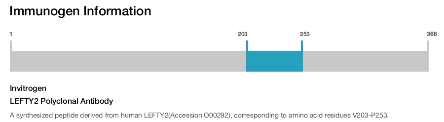 LEFTY2 Polyclonal Antibody