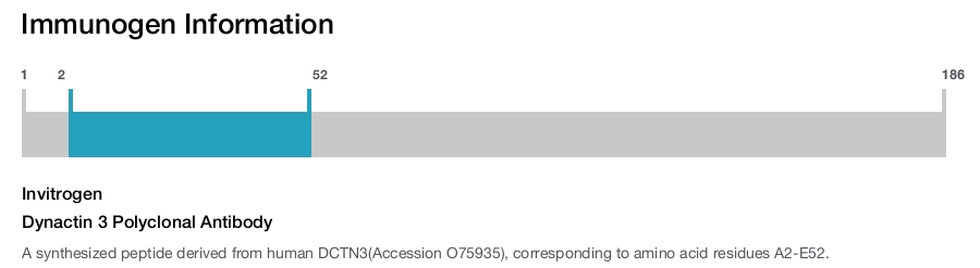 Dynactin 3 Polyclonal Antibody