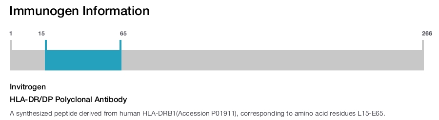 HLA-DR/DP Polyclonal Antibody