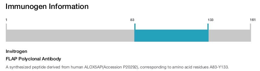 FLAP Polyclonal Antibody