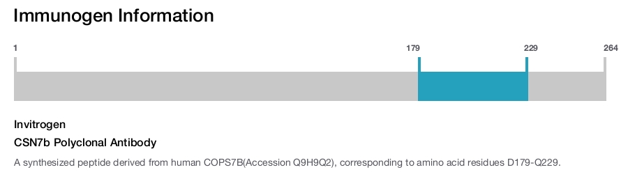 CSN7b Polyclonal Antibody