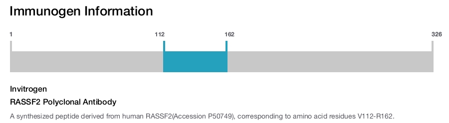 RASSF2 Polyclonal Antibody