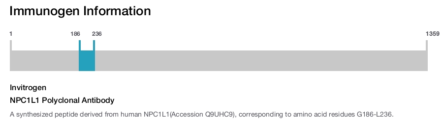 NPC1L1 Polyclonal Antibody
