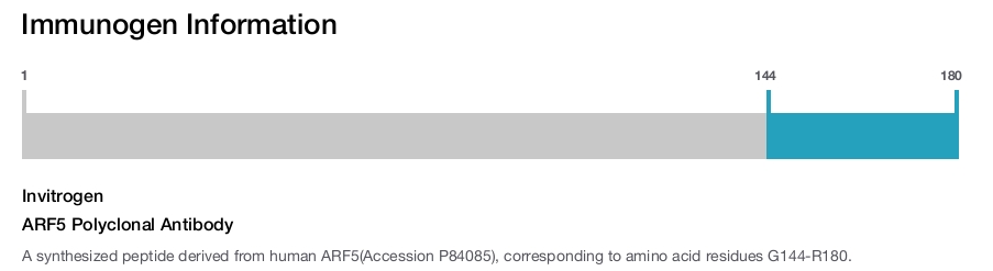 ARF5 Polyclonal Antibody