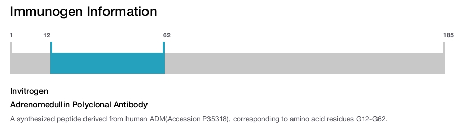 Adrenomedullin Polyclonal Antibody