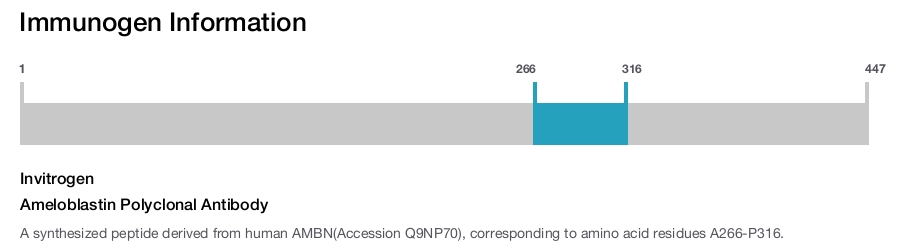 Ameloblastin Polyclonal Antibody