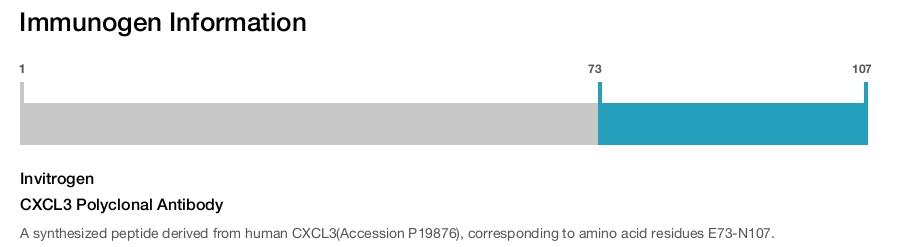 CXCL3 Polyclonal Antibody