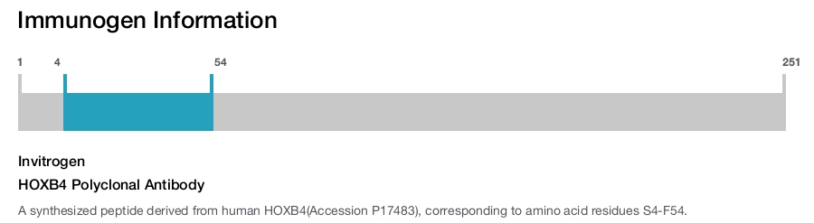 HOXB4 Polyclonal Antibody