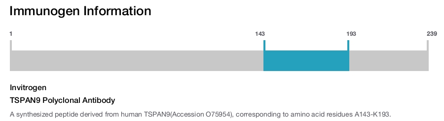 TSPAN9 Polyclonal Antibody