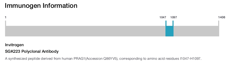 SGK223 Polyclonal Antibody