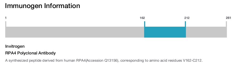 RPA4 Polyclonal Antibody
